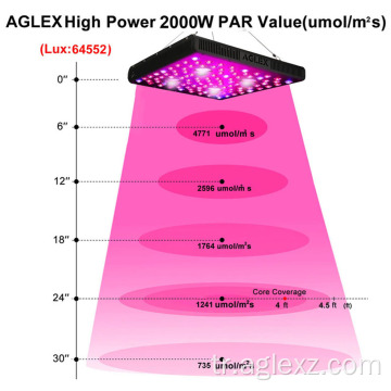 Özel Cree Light Grown Güçlü 2000W